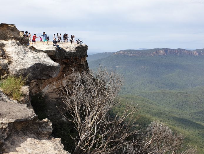 tour-operator-business-for-sale-sydney-based-great-potential-2