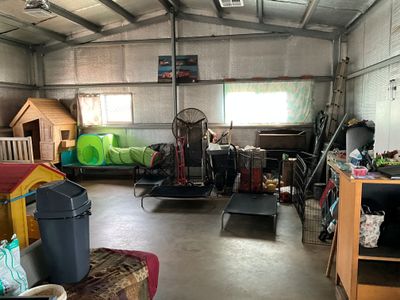 dog-day-care-business-including-freehold-1