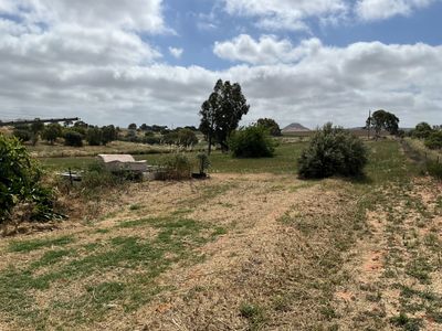 dog-day-care-business-including-freehold-9