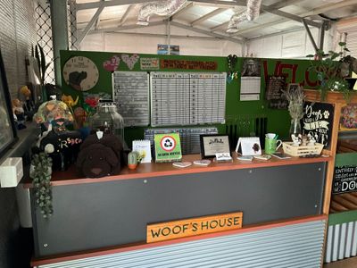 dog-day-care-business-including-freehold-5