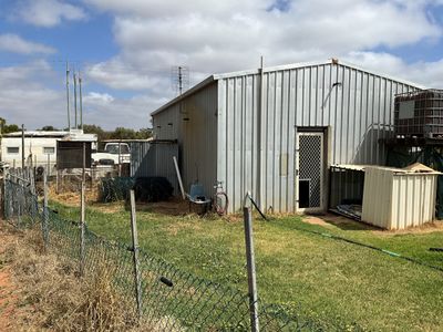 dog-day-care-business-including-freehold-7