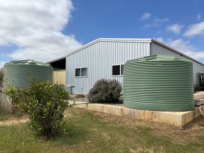 dog-day-care-business-including-freehold-2