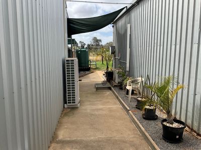 dog-day-care-business-including-freehold-8