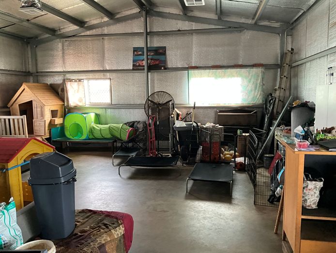 dog-day-care-business-including-freehold-1