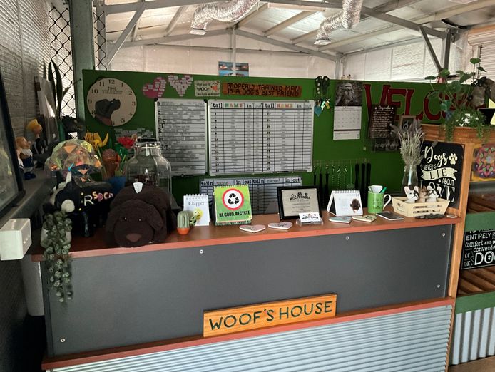 dog-day-care-business-including-freehold-5