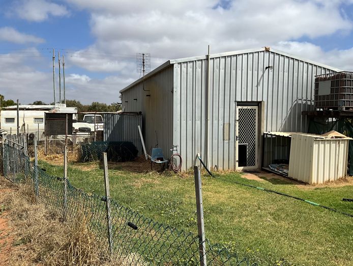 dog-day-care-business-including-freehold-7