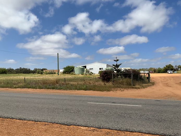 dog-day-care-business-including-freehold-3