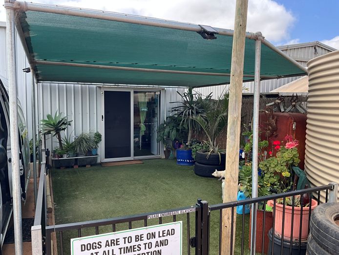 dog-day-care-business-including-freehold-4