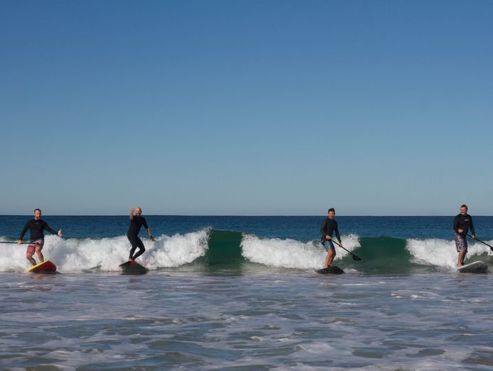 cronulla-standup-paddleboard-school-for-sale-7