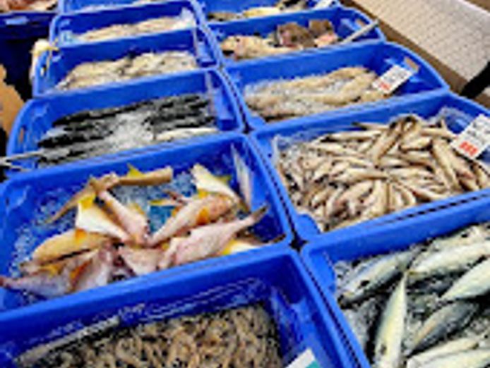 seafood-shop-transfer-grove-square-baulkham-hills-8