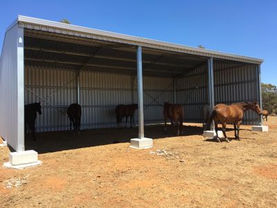 established-shed-building-business-8