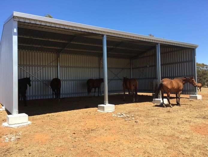 established-shed-building-business-8