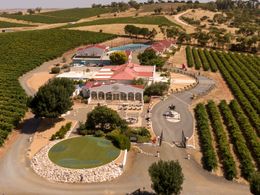 Restaurant On Iconic Winery, Barossa, South Australia