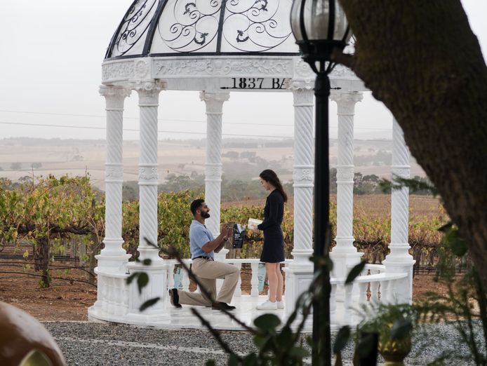 established-wine-bar-restaurant-cafe-and-function-centre-barossa-adelaide-2