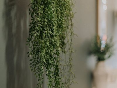 well-established-beauty-salon-in-forbes-nsw-3
