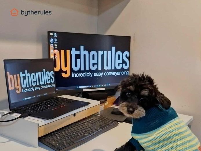 happy-conveyancer-ready-to-take-the-next-step-in-armidale-0