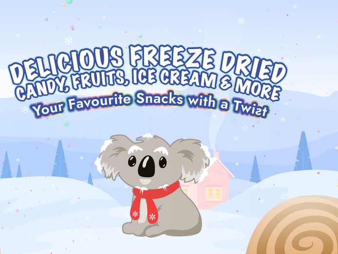 well-established-e-commerce-business-freeze-dried-candy-desserts-2