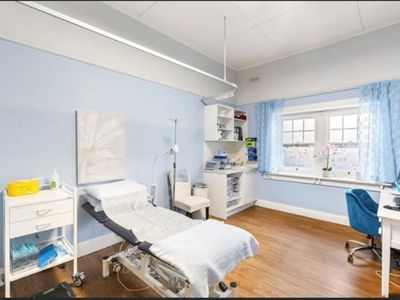 beautifully-curated-turnkey-boutique-medical-centre-upscale-inner-city-suburb-2