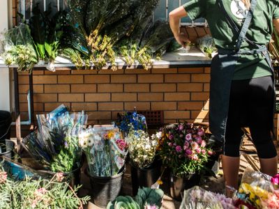 beachside-juice-bar-flower-business-southern-gold-coast-0