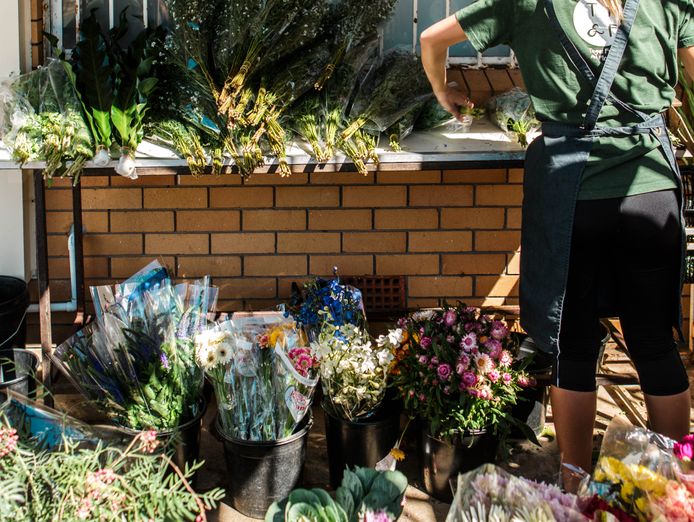 beachside-juice-bar-flower-business-southern-gold-coast-0