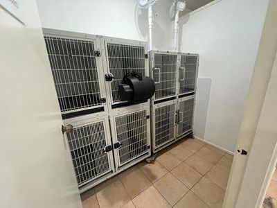 established-thriving-grooming-brand-asset-sale-south-west-sydney-8