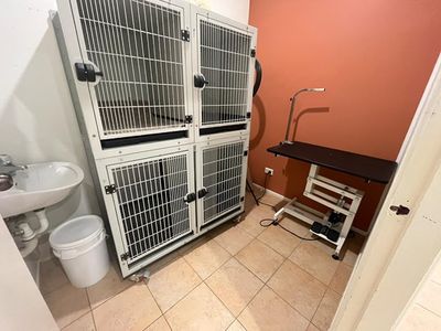 established-thriving-grooming-brand-asset-sale-south-west-sydney-9