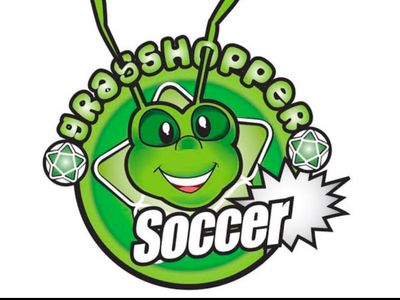 great-soccer-franchise-opportunity-0