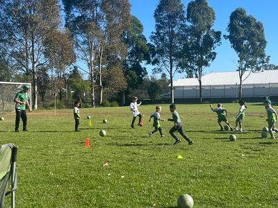 great-soccer-franchise-opportunity-3