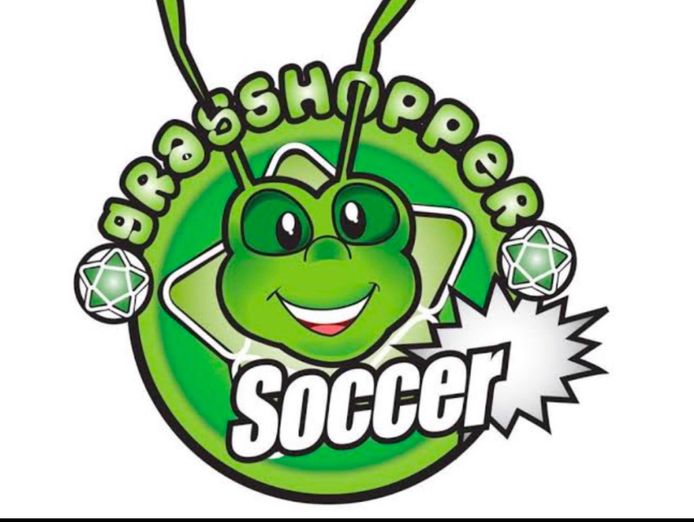 great-soccer-franchise-opportunity-0