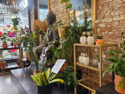 florist-for-sale-in-fitzroy-7