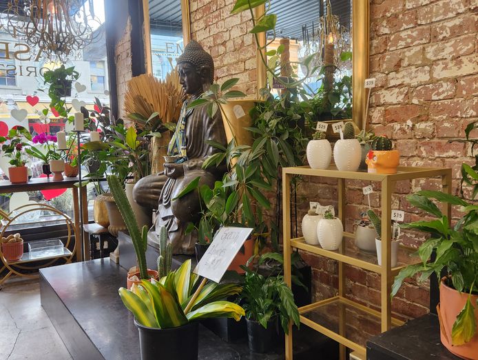florist-for-sale-in-fitzroy-7