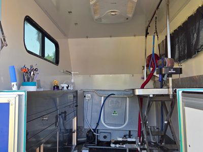 busy-moblie-dog-grooming-business-1