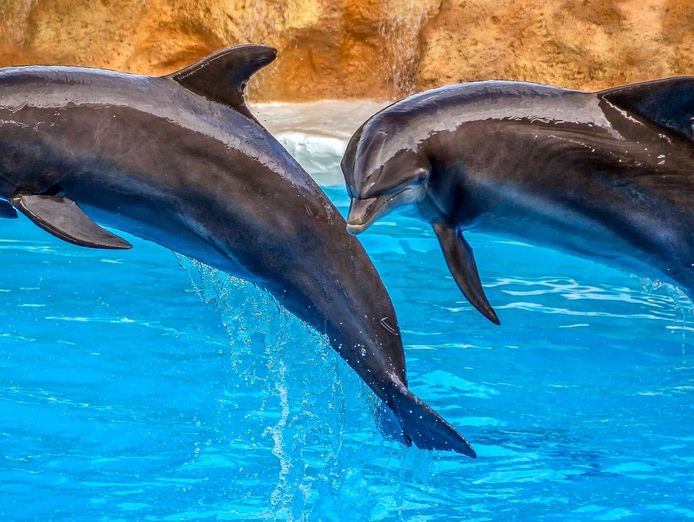 tourism-boom-passive-income-home-based-low-start-up-costs-great-roi-4