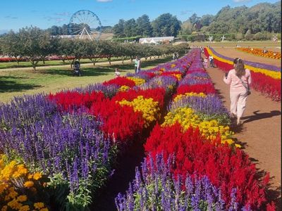 registered-ndis-provider-for-sale-victoria-5