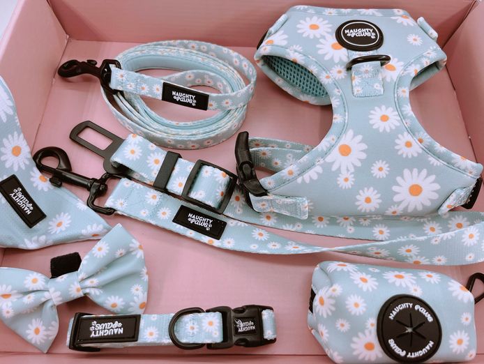 growing-online-pet-accessory-brand-over-30k-followers-1