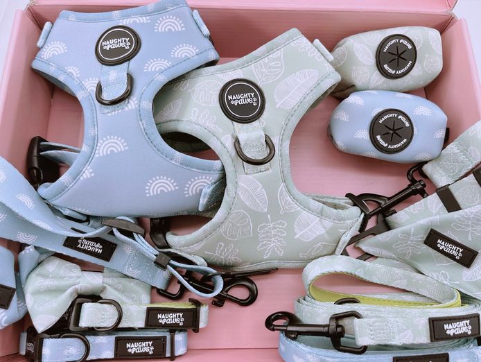 growing-online-pet-accessory-brand-over-30k-followers-0