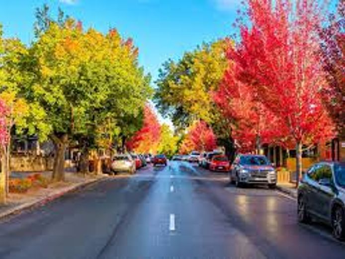 unique-opportuntity-adelaide-hills-tourism-business-poa-0
