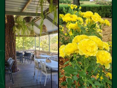established-cafe-restaurant-business-for-sale-in-dural-3