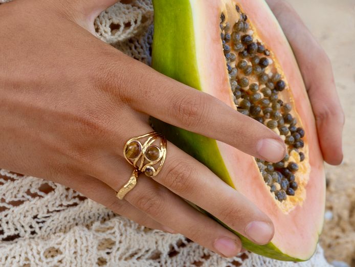 diaries-of-the-sun-2