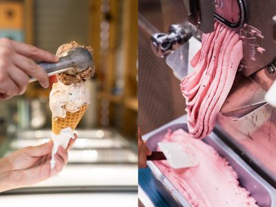 join-south-australias-leading-gelato-brand-3