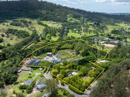 Australia's Largest Bamboo Wholesale & Tourist Nursery