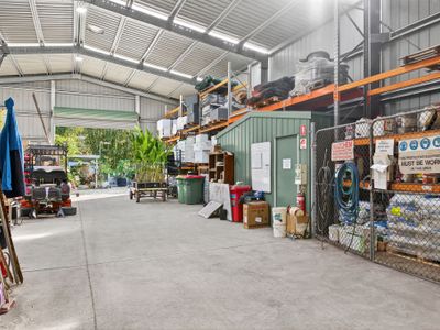 australias-largest-bamboo-wholesale-tourist-nursery-6