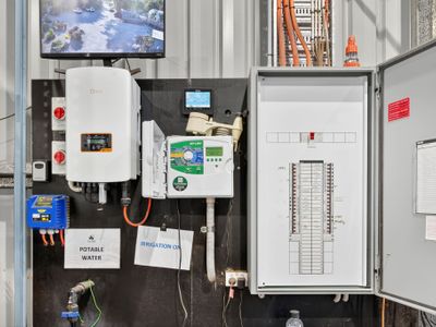 australias-largest-bamboo-wholesale-tourist-nursery-5