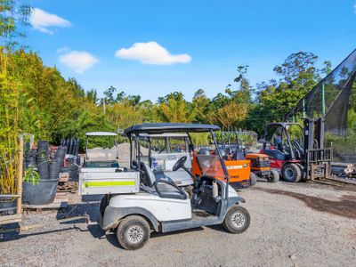 australias-largest-bamboo-wholesale-tourist-nursery-2