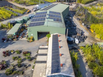 australias-largest-bamboo-wholesale-tourist-nursery-9