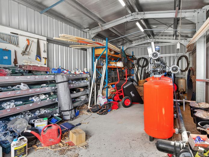 australias-largest-bamboo-wholesale-tourist-nursery-4