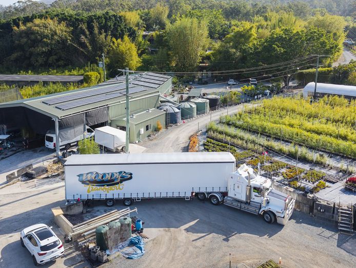 australias-largest-bamboo-wholesale-tourist-nursery-8