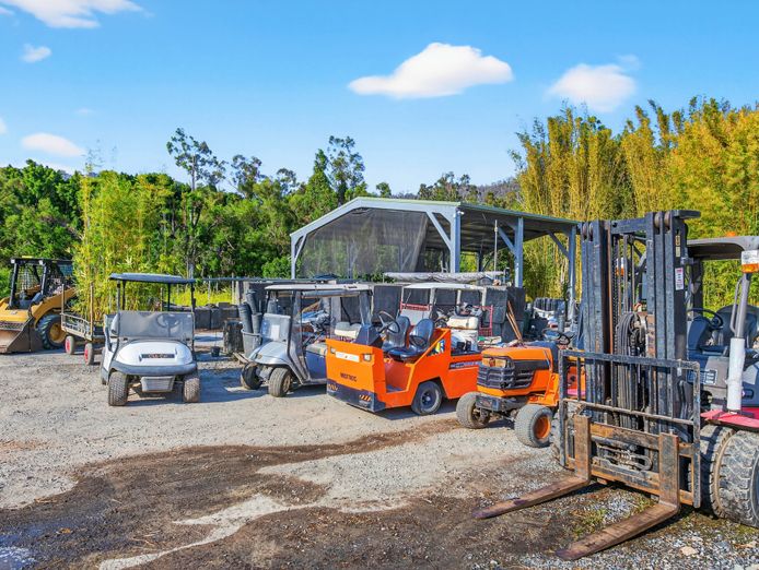 australias-largest-bamboo-wholesale-tourist-nursery-7