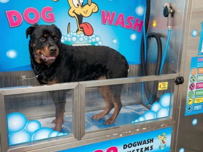 bundaberg-car-wash-freehold-13-year-lease-6-yield-3-1m-2
