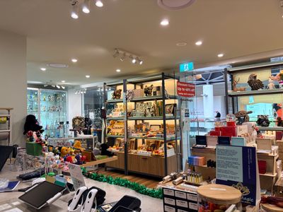 premium-retail-shop-fitout-for-sale-westfield-belconnen-0